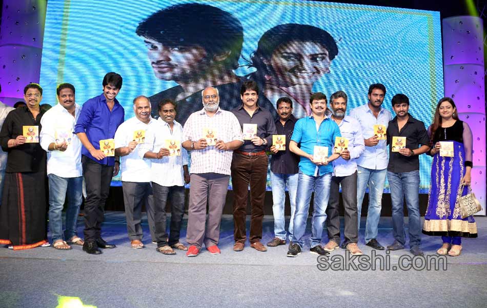 Dikkulu chudaku ramayya Audio Launch - Sakshi23