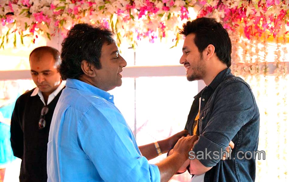 opening of akhil s new movie3