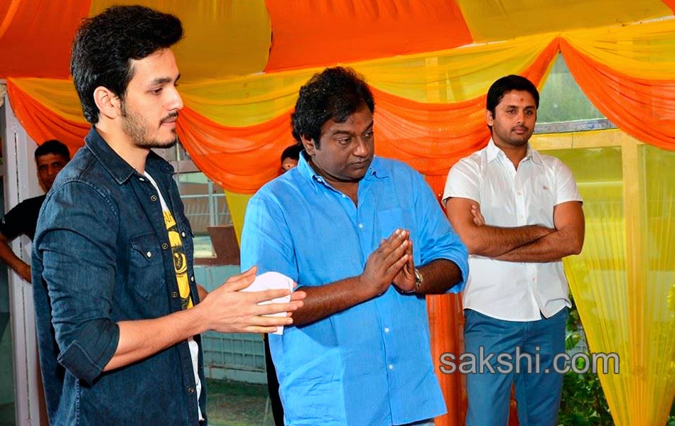 opening of akhil s new movie10