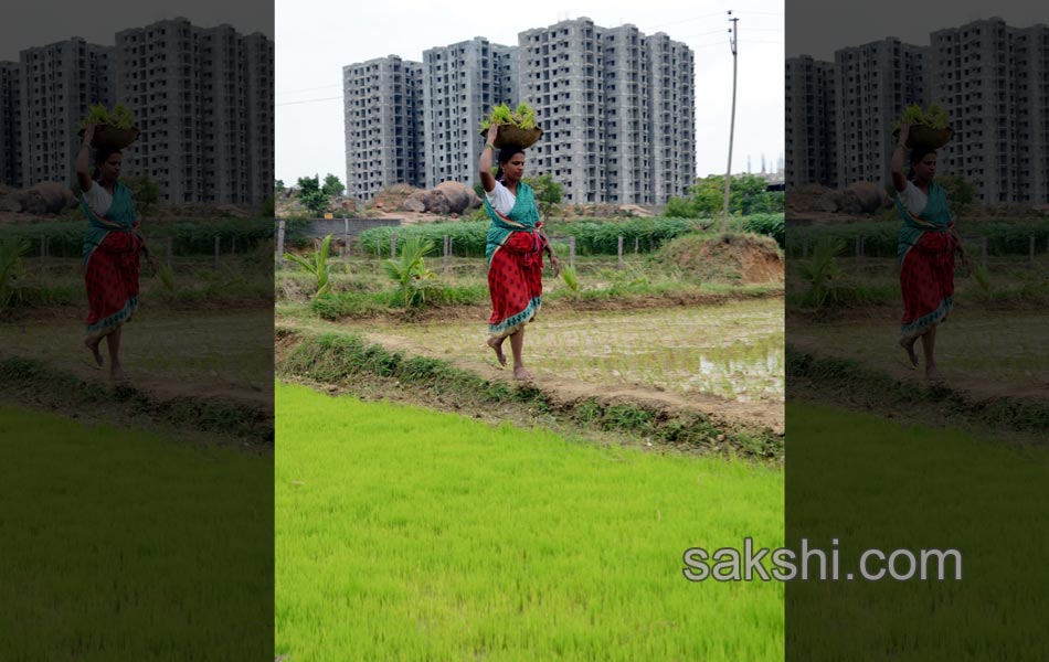 2014 Best Images - Sakshi8