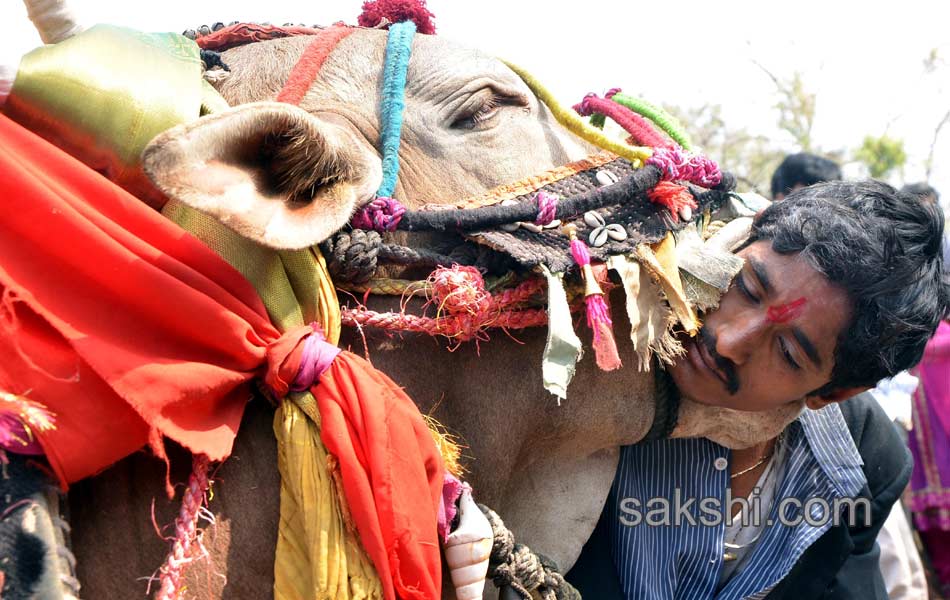 2014 Best Images - Sakshi37