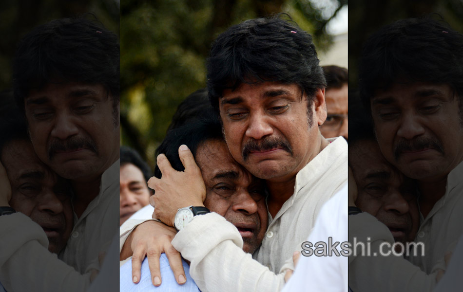 2014 Best Images - Sakshi79