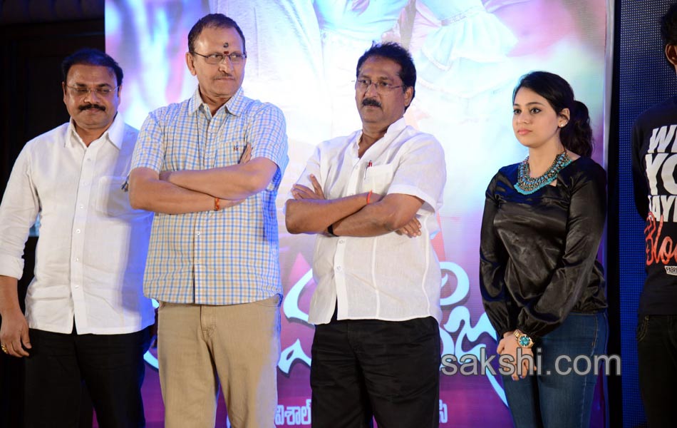 Maga Maharaju Movie Audio Release5