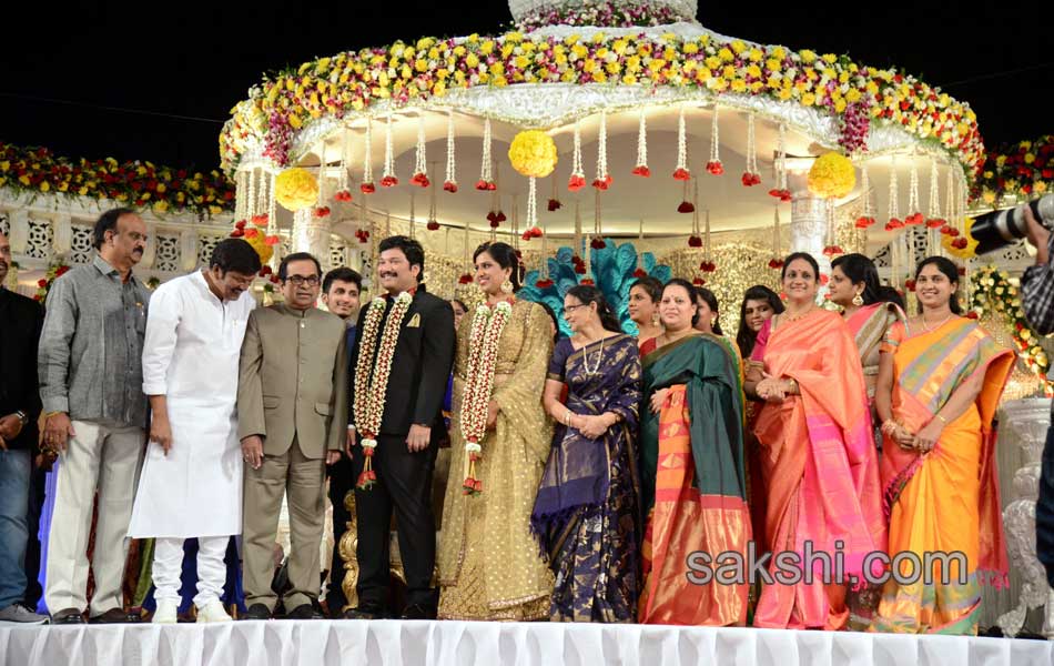 Rajendra Prasad Son Wedding Reception13