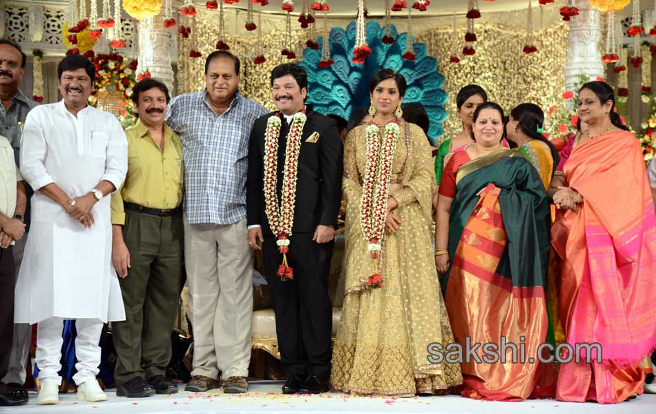 Rajendra Prasad Son Wedding Reception16