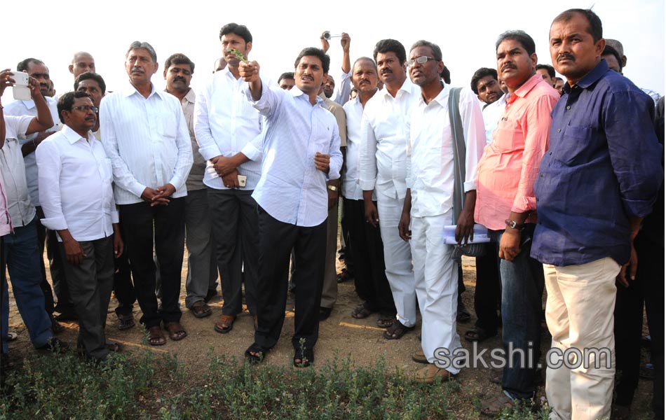 IG Car YS Jagan Mohan Reddy - Sakshi13