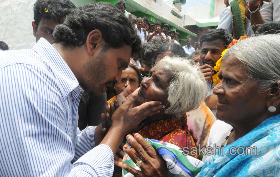 YS jagan mohan reddy tour in ananthapuram - Sakshi10