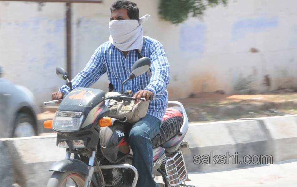 summer in telangana6