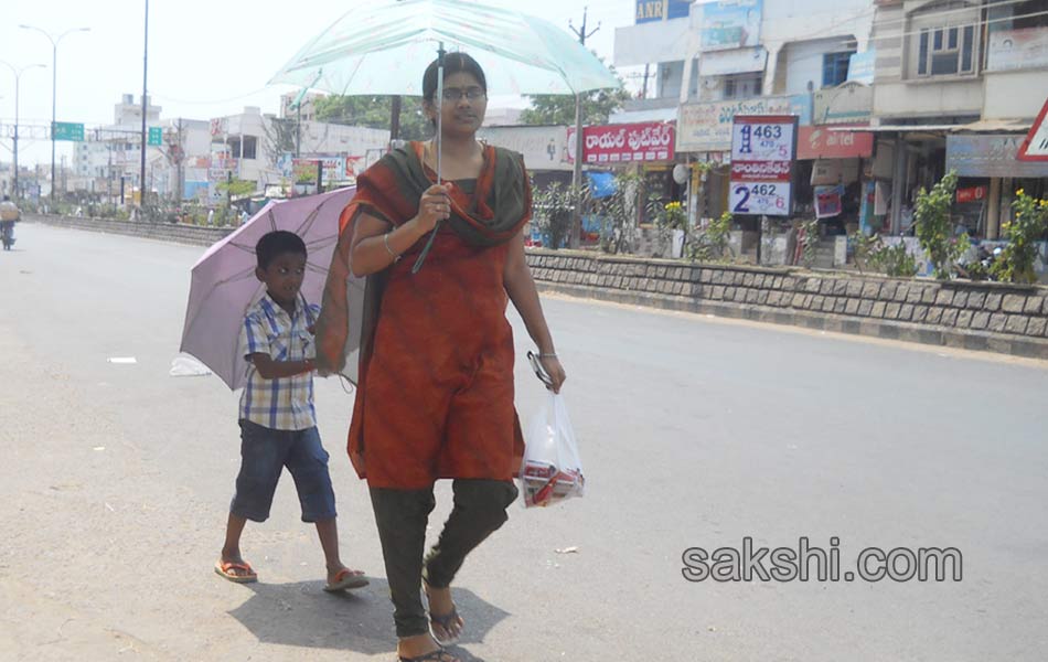 summer in telangana13