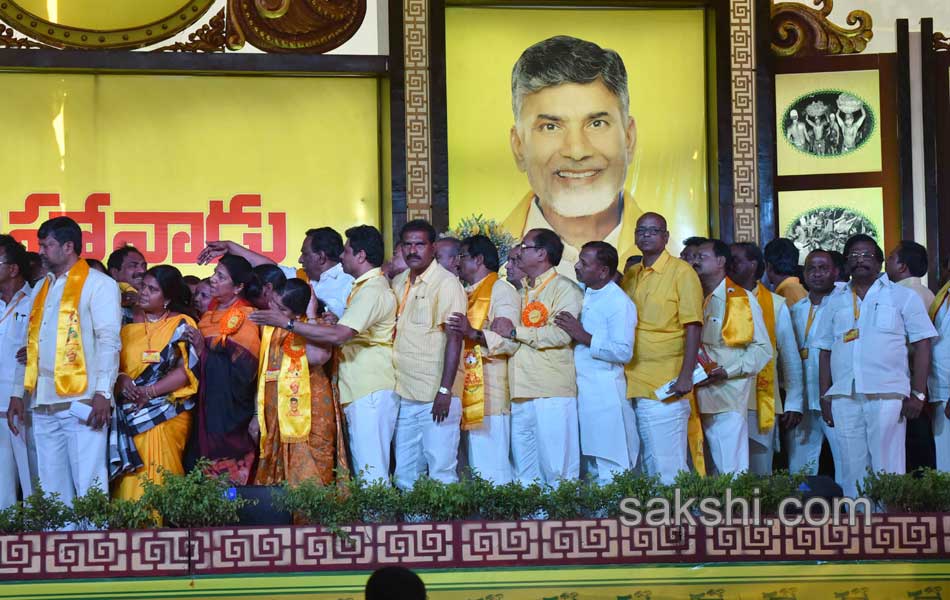 Telugu desam mahanadu - Sakshi8