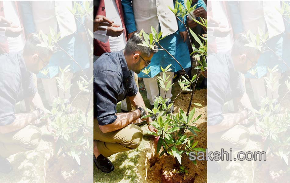 World Environment Day3