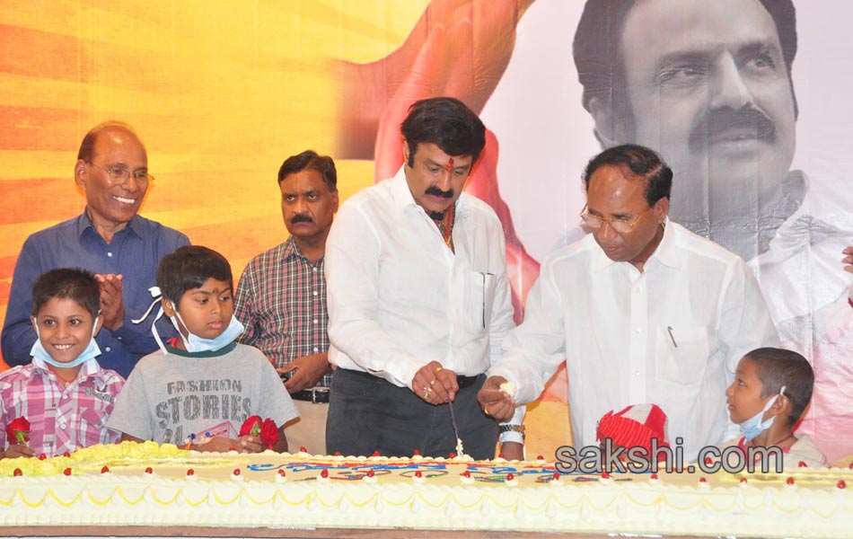 Balakrishna Birthday Celebrations at Basavatarakam cancer hospital - Sakshi2