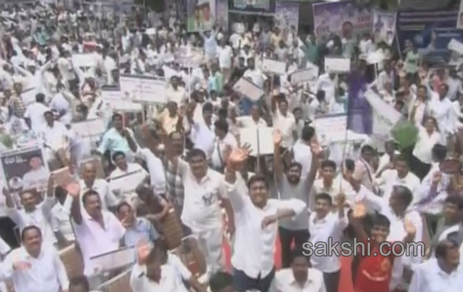 YS Jagan mohan Reddy Dharna started for ap special status - Sakshi16