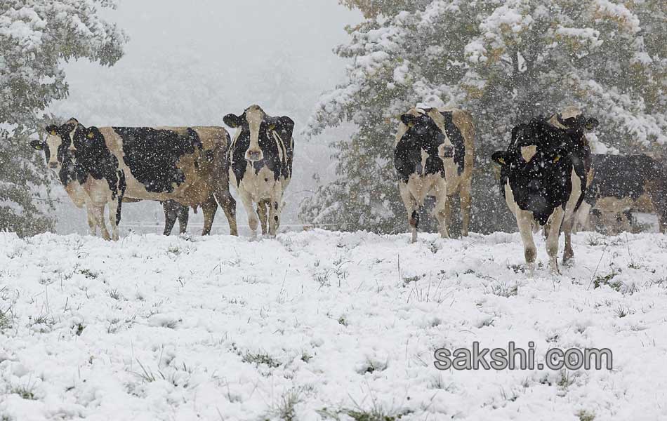 Snow fall in germany14