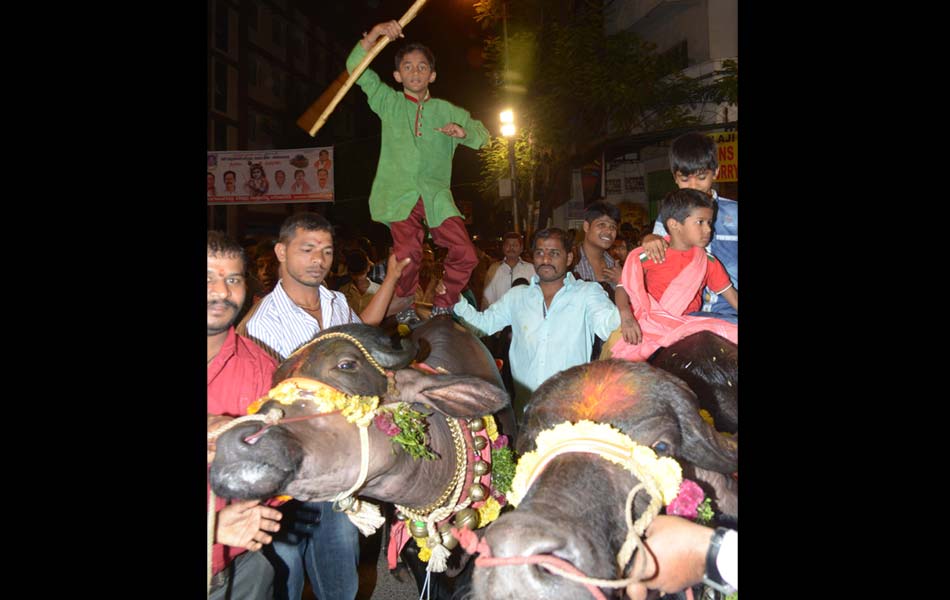 Sadar celebrations2