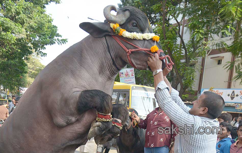 Sadar celebrations12