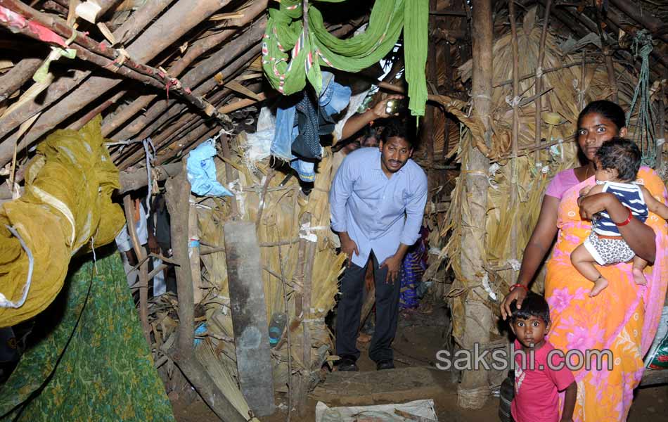 YS jagan tourn in Nellore district - Sakshi15