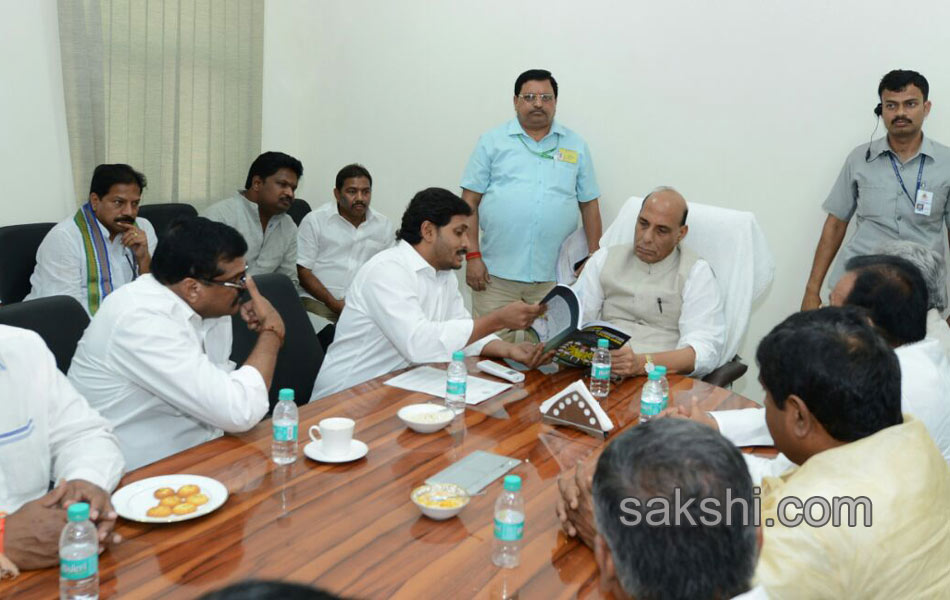 ysrcp leaders reaches delhi - Sakshi4