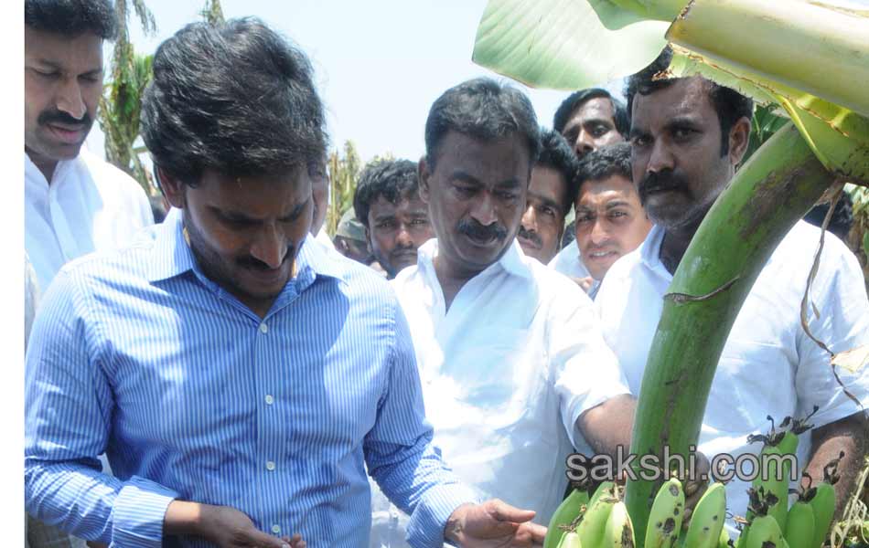 ys jaganmohan reddy tour in pulivendula - Sakshi10