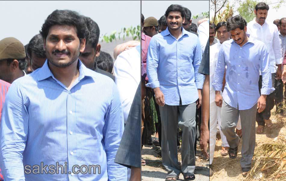 ys jaganmohan reddy tour in pulivendula - Sakshi13
