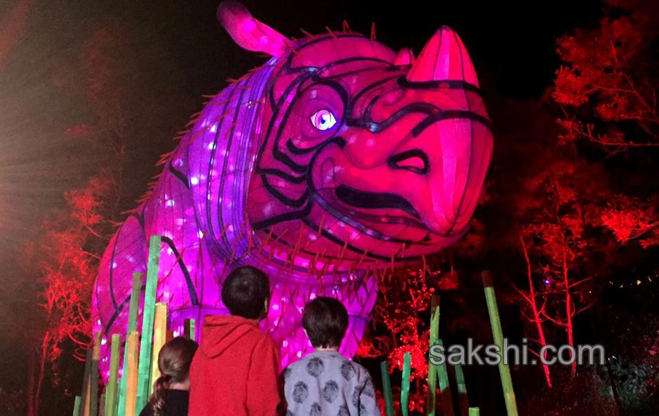 light festival in sydney3