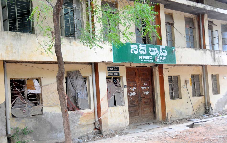 decoration to collectorate3