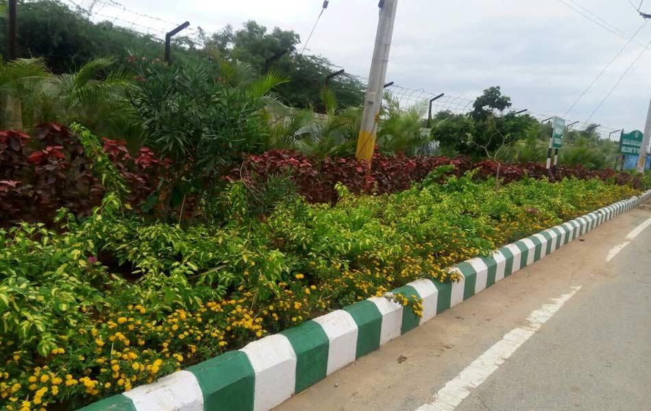 beautiful tirupati3