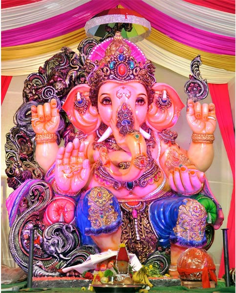 Ganesh Chaturdhi in Nellore - Sakshi14