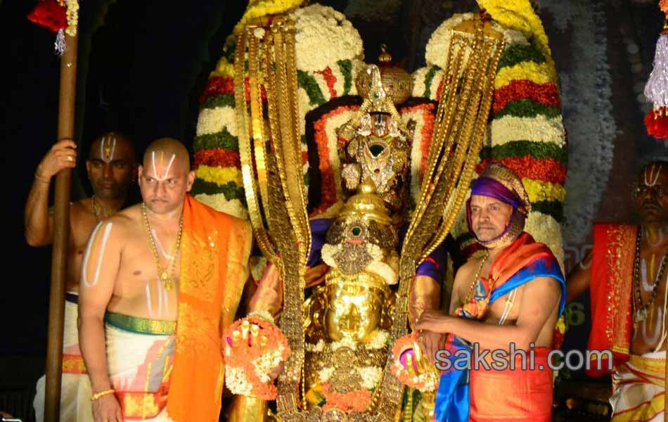 Garuda Vahanam Brahmotsavam8