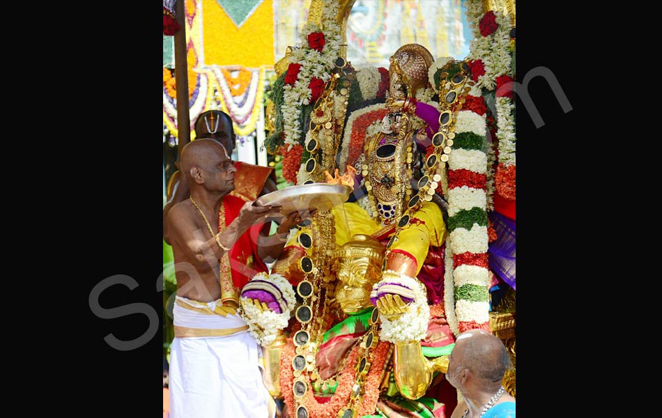 Hanumanthu Vahana brahmotsavam6