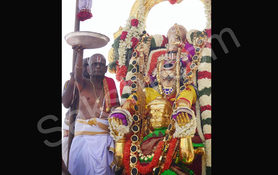 Hanumanthu Vahana brahmotsavam3