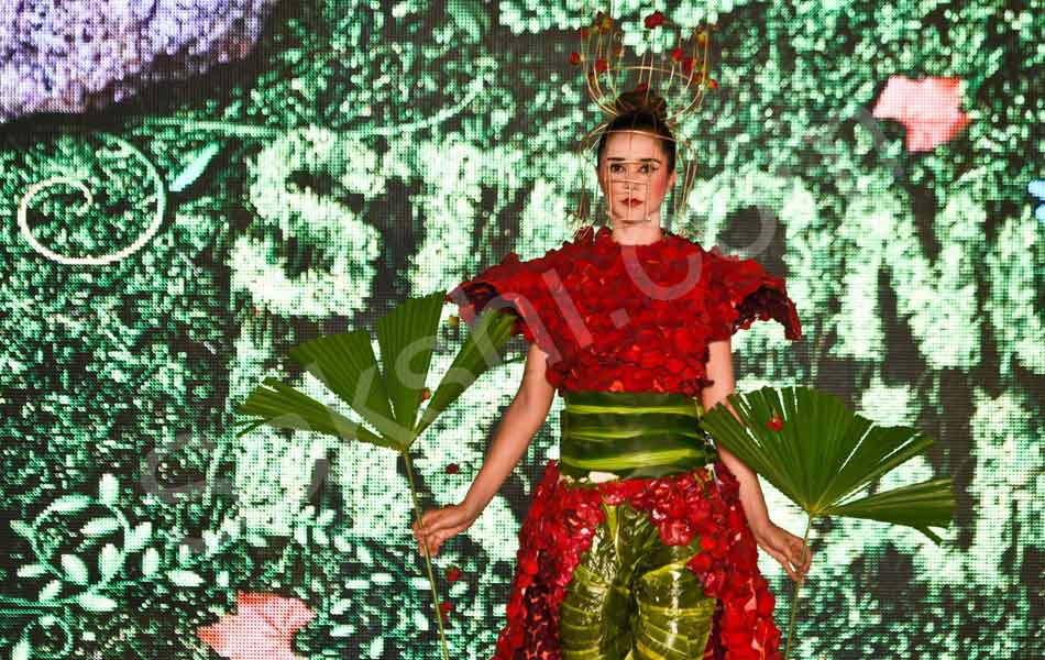 organic fashion show in columbia6