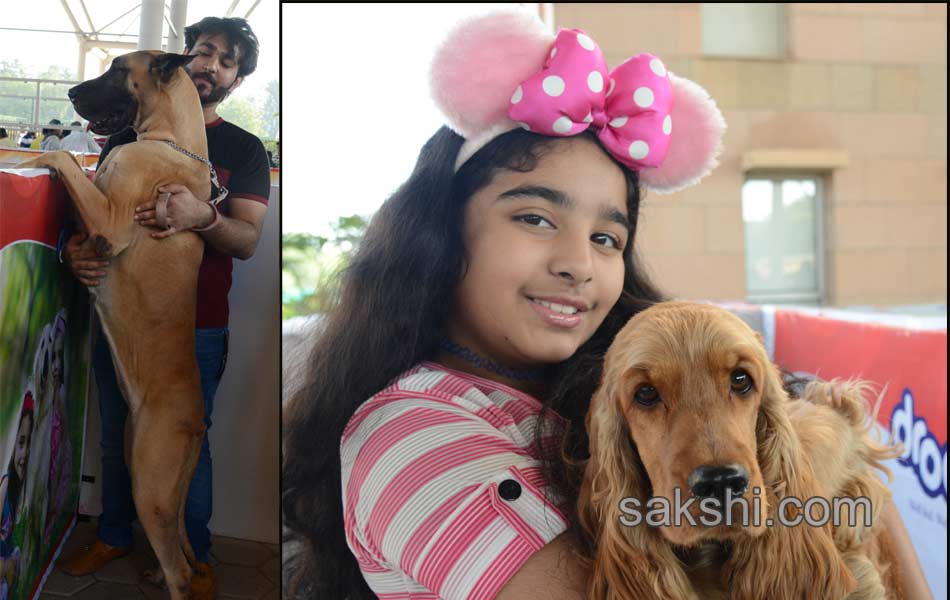 Dog Shows in Hyderabad City - Sakshi15