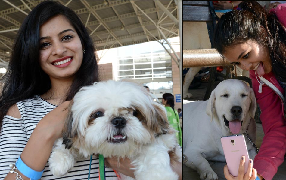 Dog Shows in Hyderabad City - Sakshi16