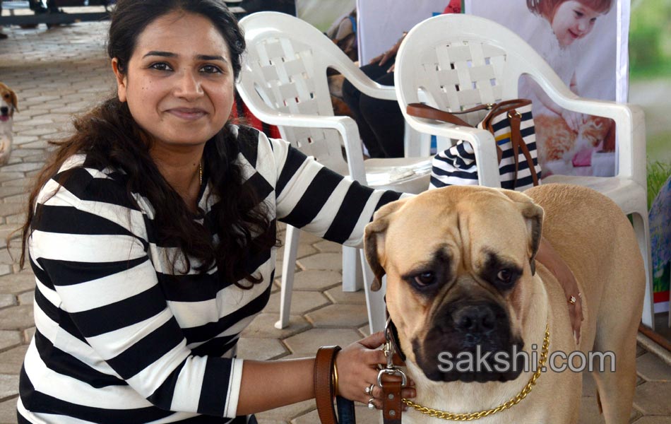 Dog Shows in Hyderabad City - Sakshi18