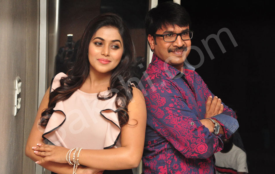 Jayammu Nischayammu Raa Success Meet9