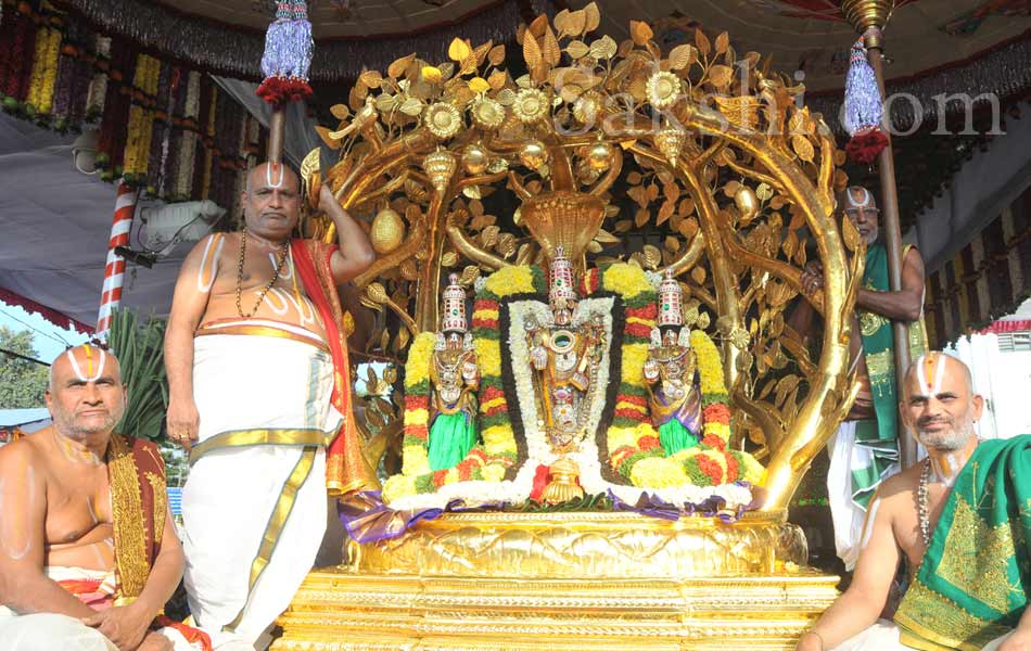 rathasapthami in tirumala14