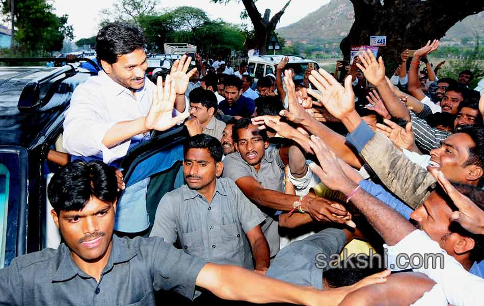 ys jagan mohan reddy attend desai tippareddy daughter marriage - Sakshi10