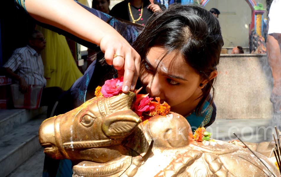 mahashivratri in ap - Sakshi28