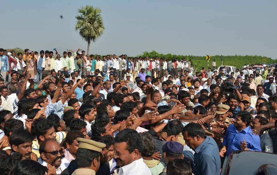 Travels authorities backed Chandrababu - Sakshi13
