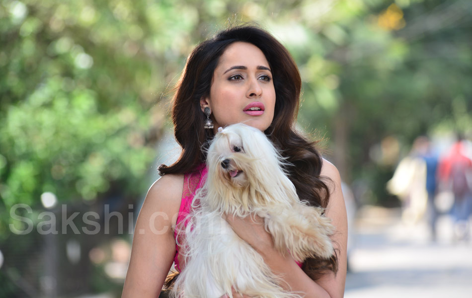 pragya jaiswal stills10