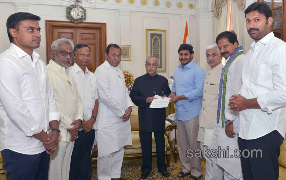 YS jagan delhi tour - Sakshi1