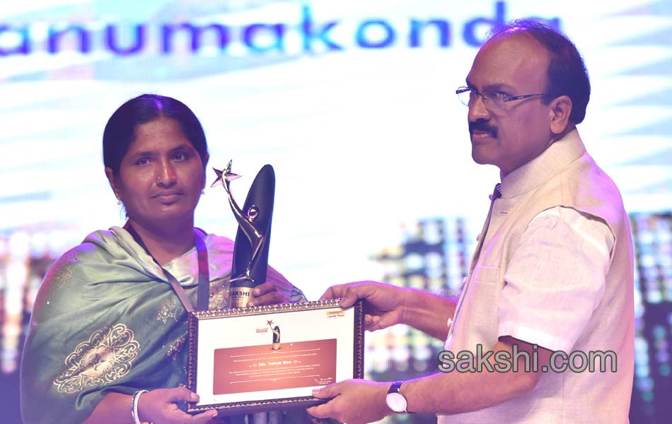 Sakshi Excellence Awards Ceremony 20172