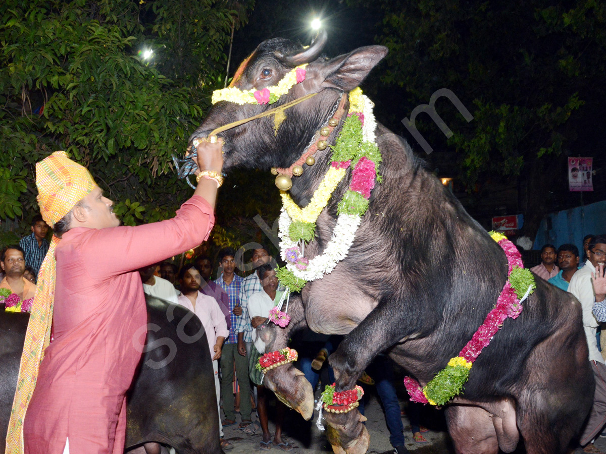 Sadar Festival Celebrations In Hyderabad - Sakshi2