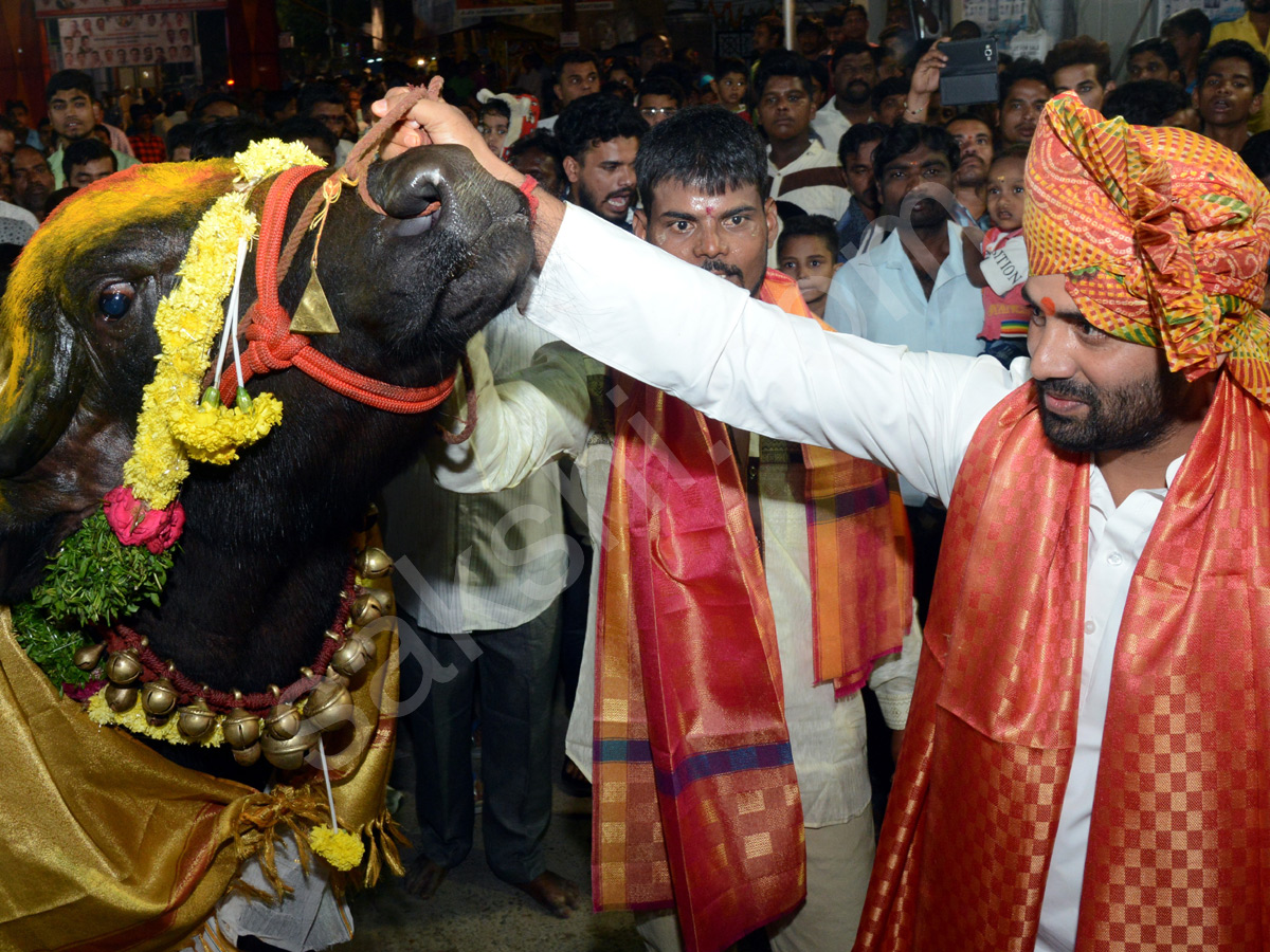 Sadar Festival Celebrations In Hyderabad - Sakshi3