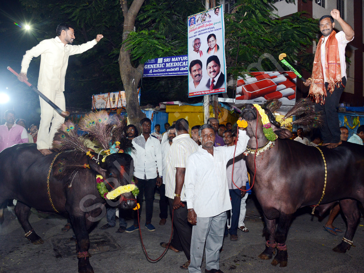 Sadar Festival Celebrations In Hyderabad - Sakshi13
