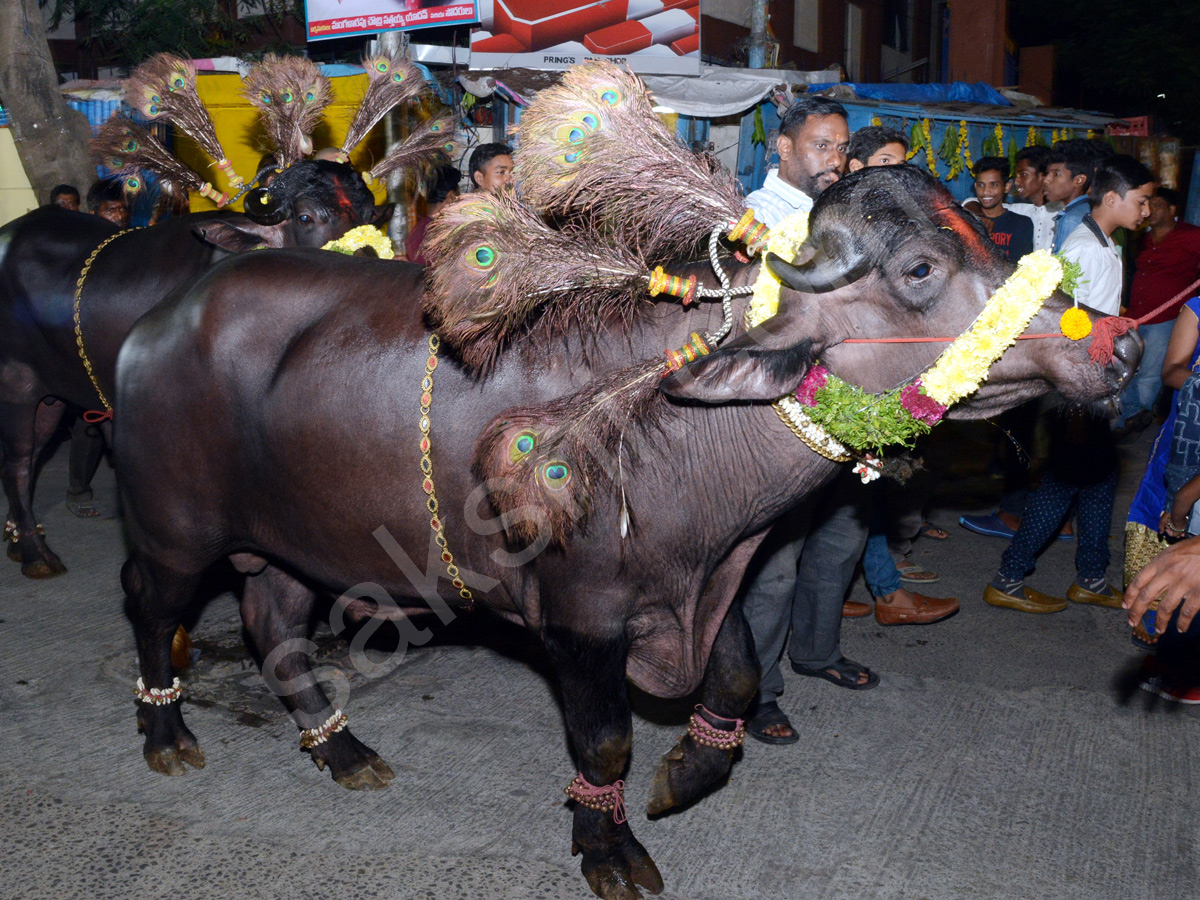 Sadar Festival Celebrations In Hyderabad - Sakshi15