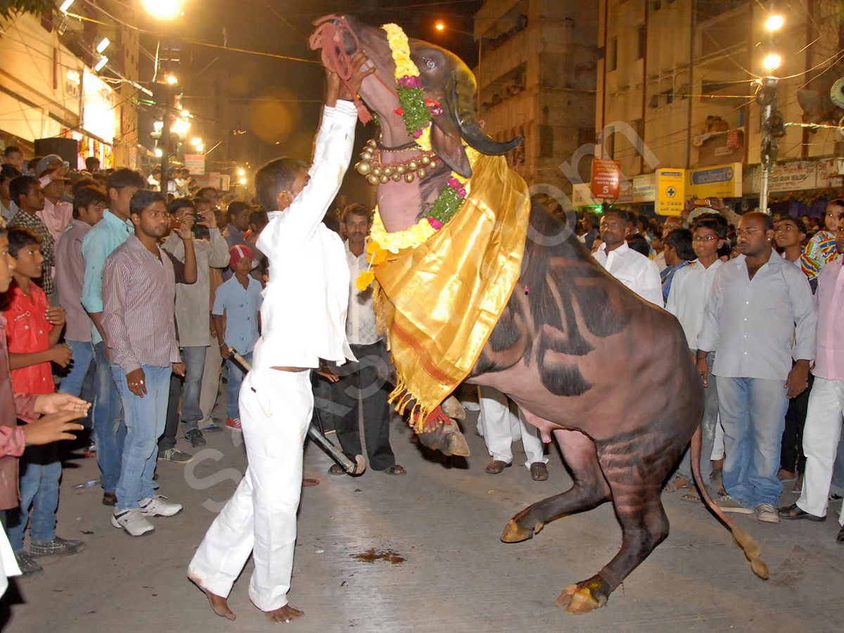 Sadar Festival Celebrations In Hyderabad - Sakshi1