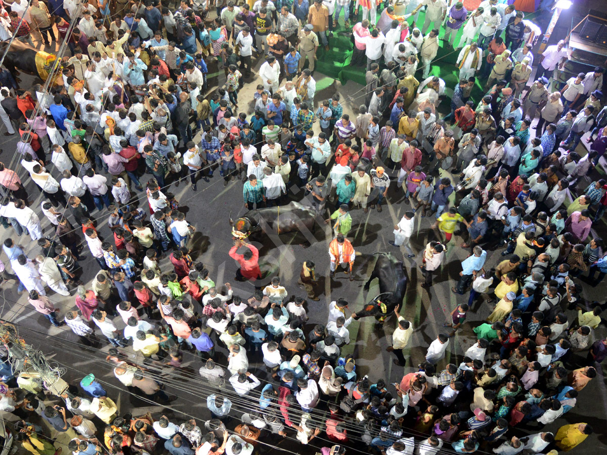 Sadar Festival Celebrations In Hyderabad - Sakshi5