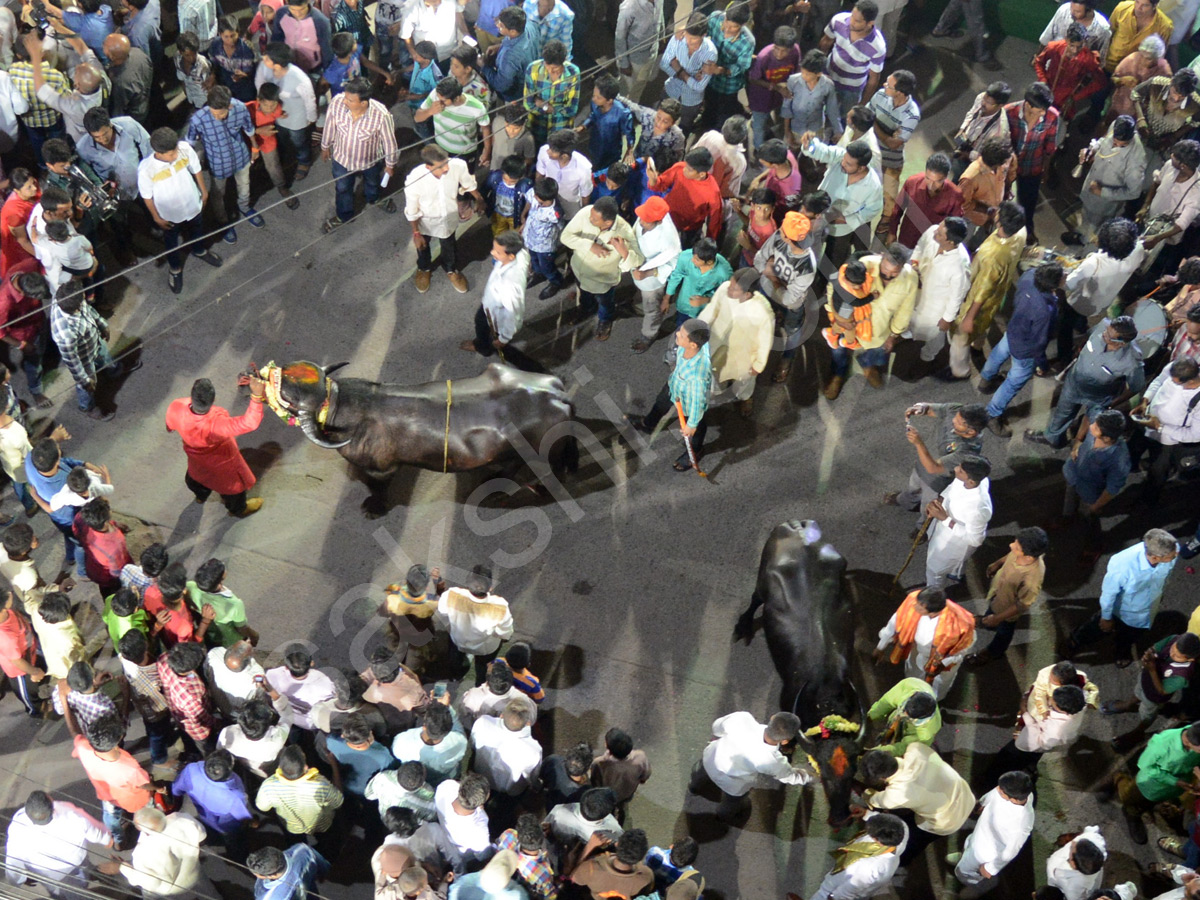 Sadar Festival Celebrations In Hyderabad - Sakshi6